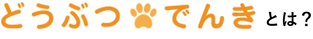 どうぶつでんきとは