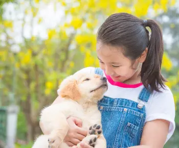 喜んでいる犬の画像