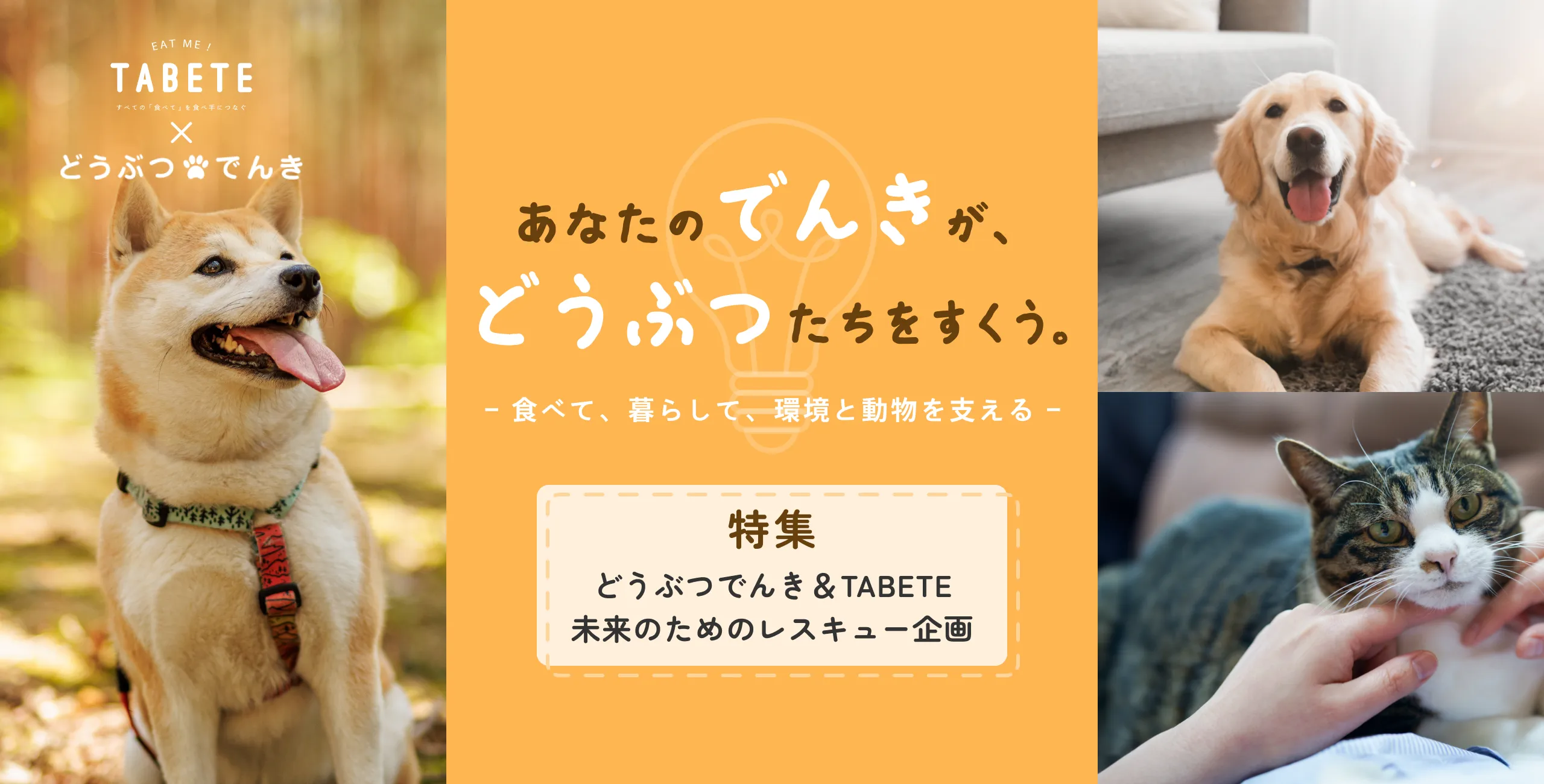 どうぶつでんきとTABETEのコラボレーション、未来のためのレスキュー企画