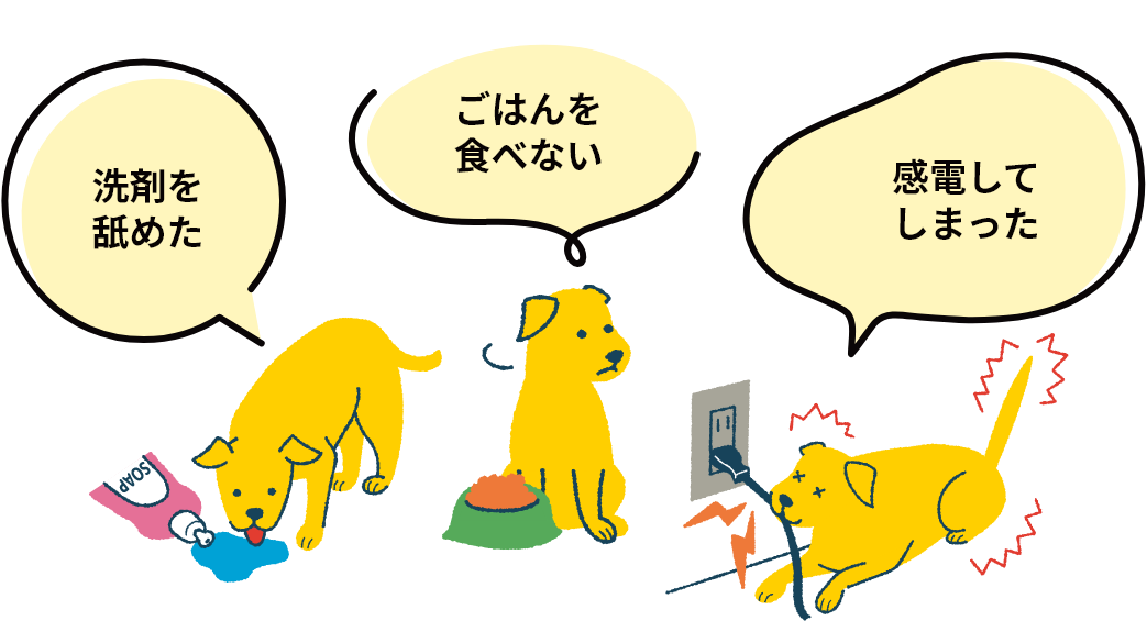 洗剤をなめた、ごはんを食べない、感電してしまった